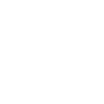 Logo ACE bianco-08